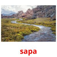 sapa card for translate