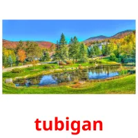 tubigan карточки энциклопедических знаний