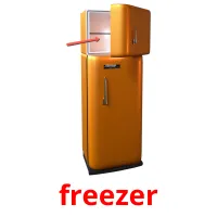 freezer picture flashcards