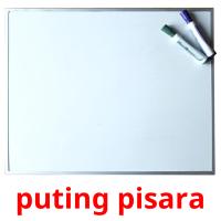 puting pisara card for translate