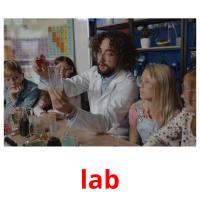 lab flashcards illustrate