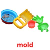 mold picture flashcards