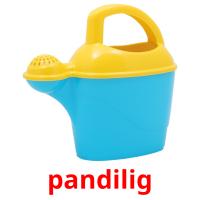 pandilig picture flashcards