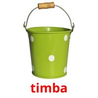 timba picture flashcards