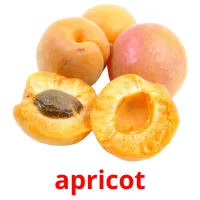 apricot picture flashcards