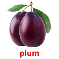 plum picture flashcards