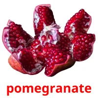 pomegranate picture flashcards