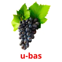 u-bas picture flashcards