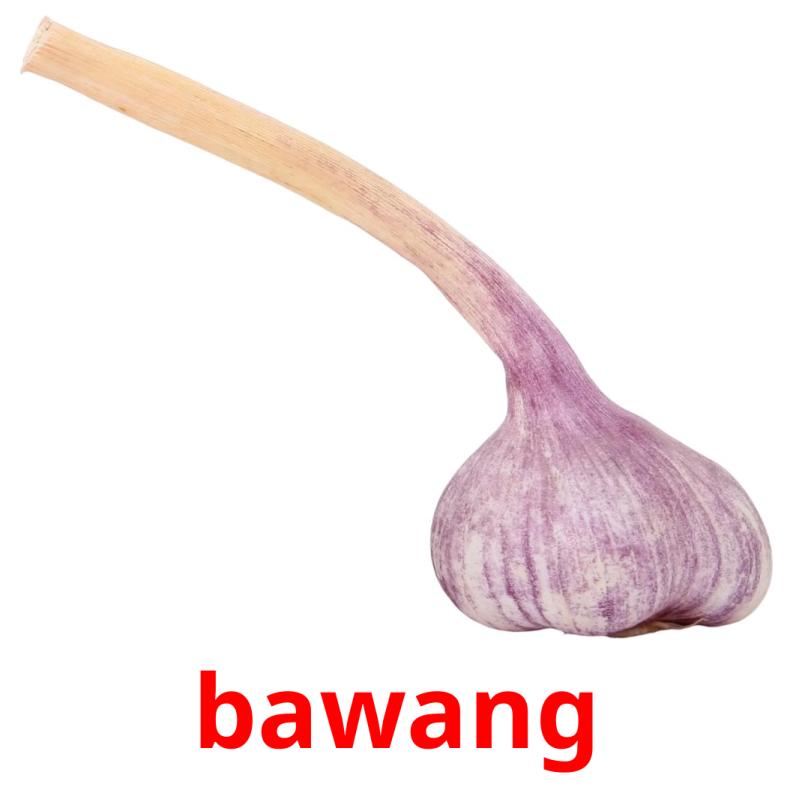 bawang picture flashcards
