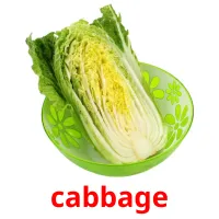 cabbage карточки энциклопедических знаний