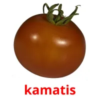 kamatis карточки энциклопедических знаний