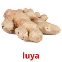 luya card for translate
