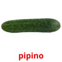 pipino card for translate