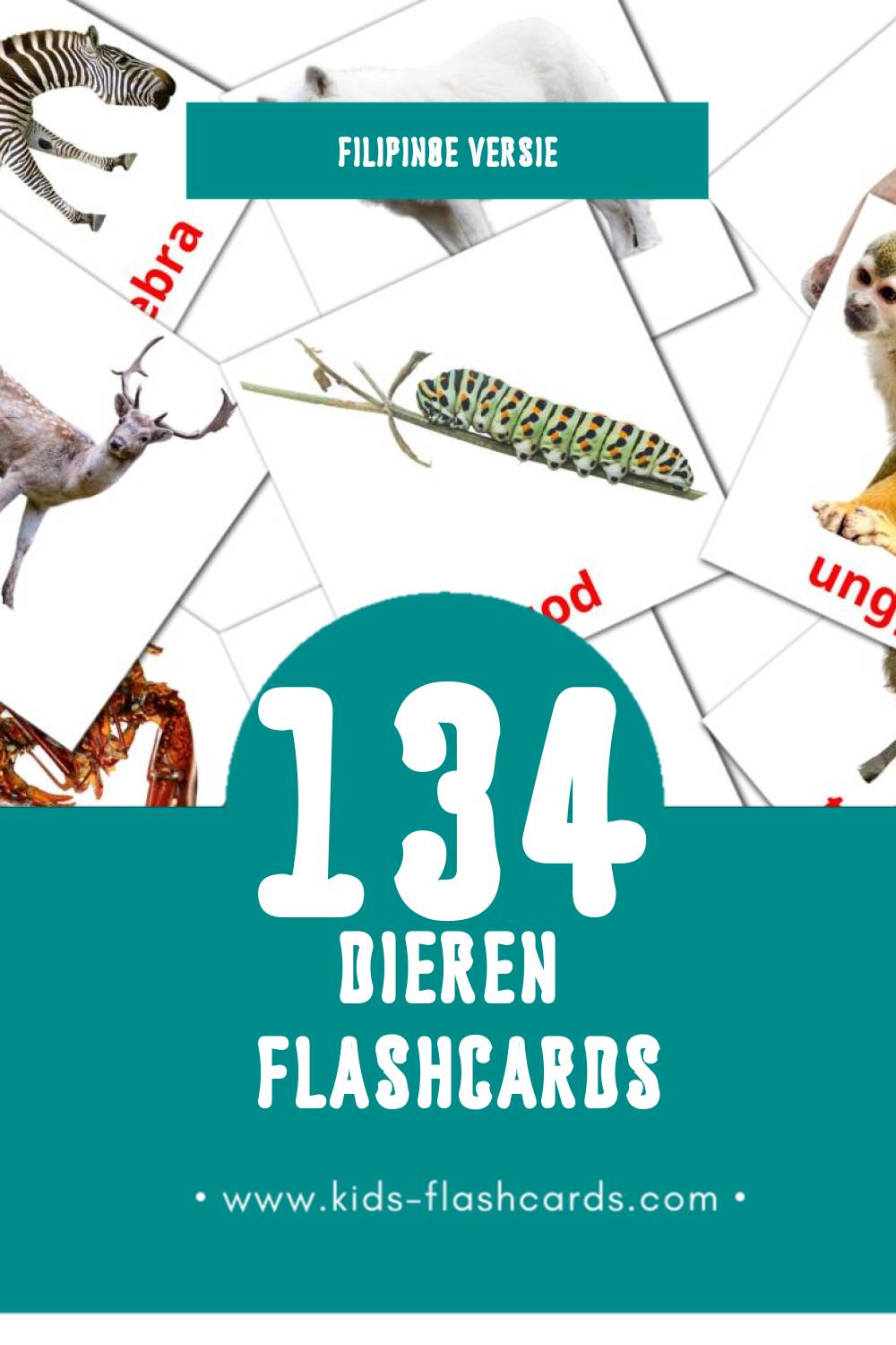 Visuele Hayop Flashcards voor Kleuters (134 kaarten in het Filipino)