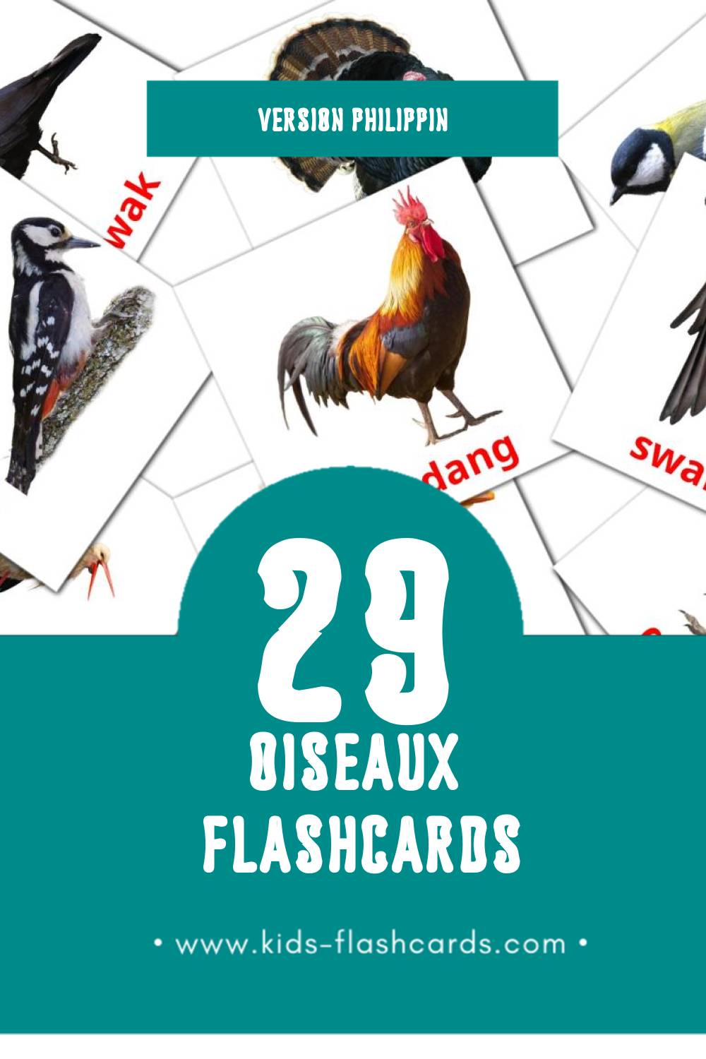 Flashcards Visual Ibon pour les tout-petits (29 cartes en Philippin)