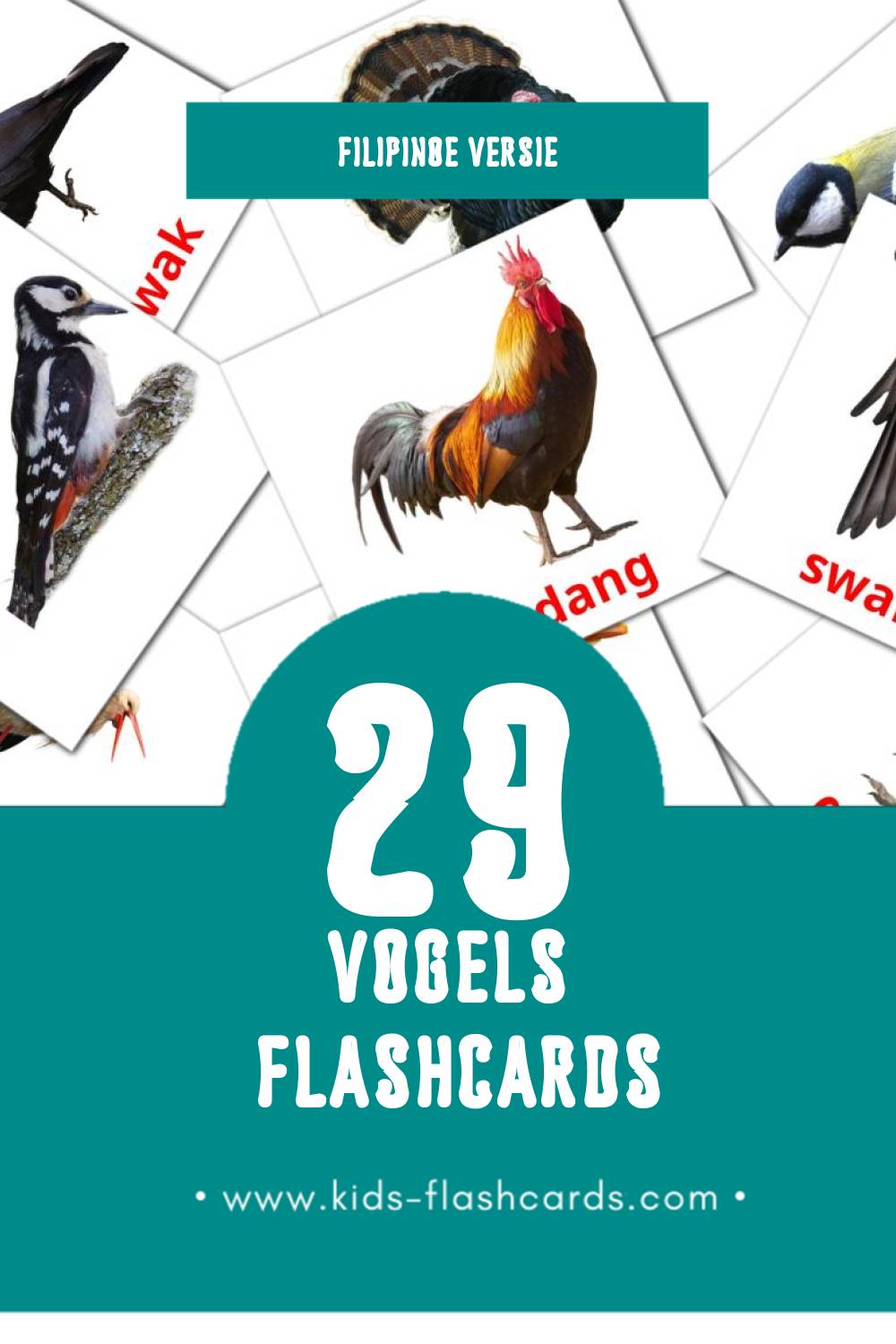 Visuele Ibon Flashcards voor Kleuters (29 kaarten in het Filipino)