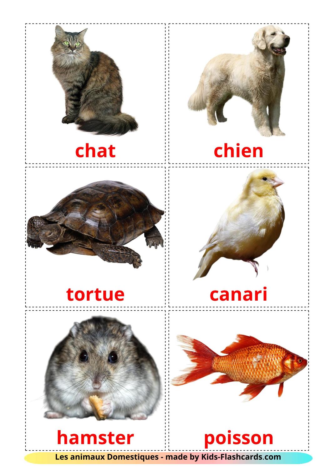 Les animaux Domestiques - 10 Flashcards français imprimables gratuitement