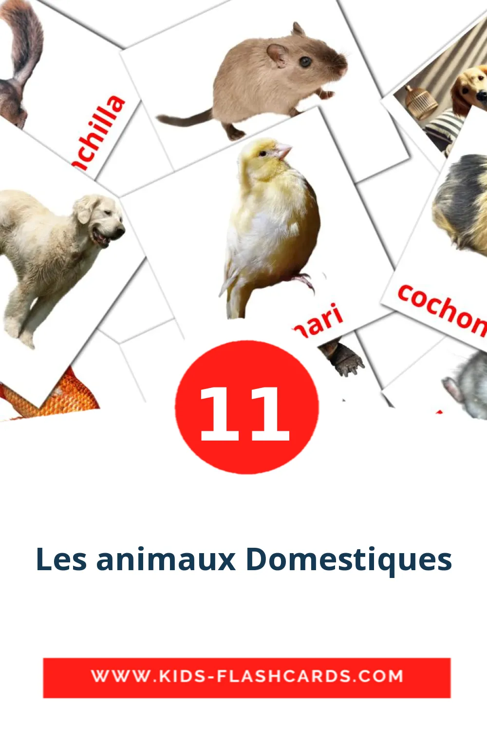 11 tarjetas didacticas de Les animaux Domestiques para el jardín de infancia en francés