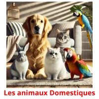 Les animaux Domestiques Tarjetas didacticas