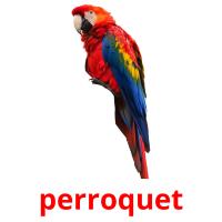 perroquet Tarjetas didacticas