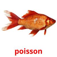 poisson picture flashcards