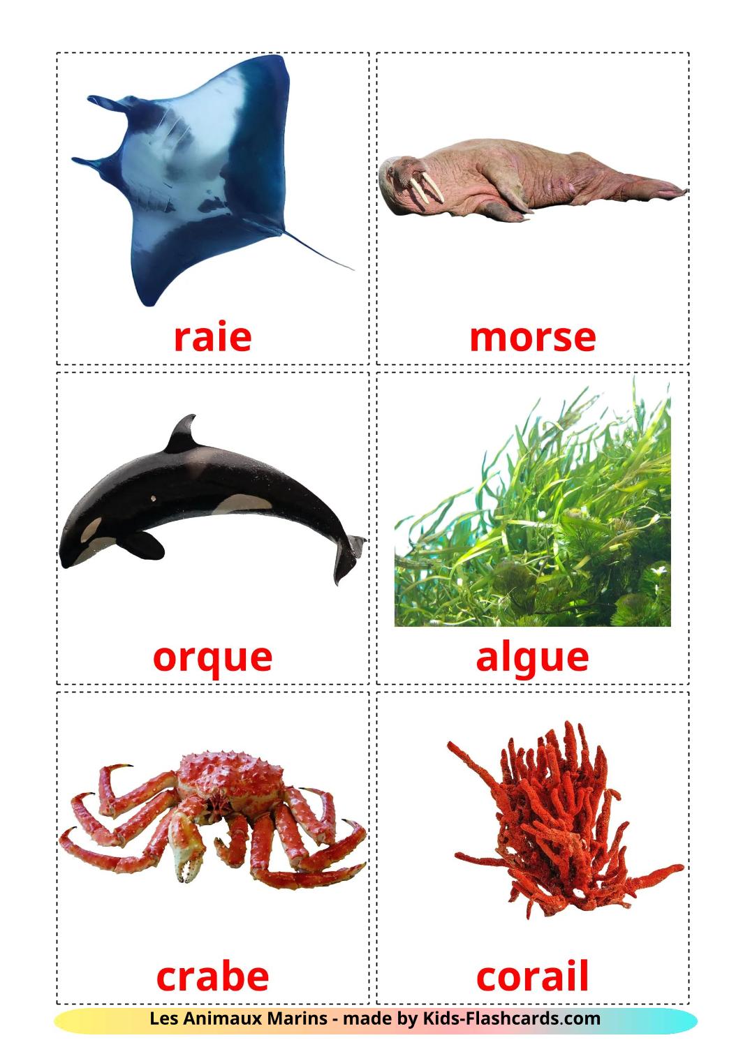 Sea animals - 30 Free Printable french Flashcards 