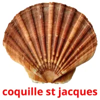 coquille st jacques Tarjetas didacticas