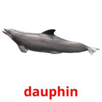 dauphin picture flashcards