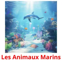 Les Animaux Marins picture flashcards