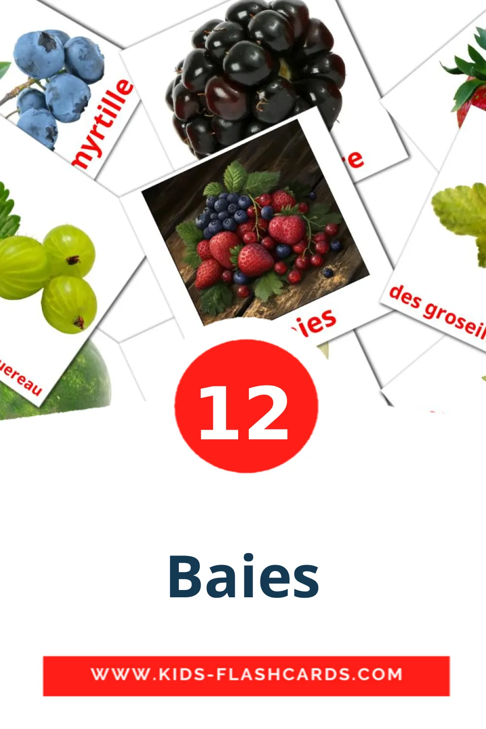 12 tarjetas didacticas de Baies para el jardín de infancia en francés