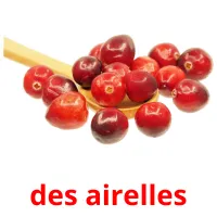 des airelles Tarjetas didacticas