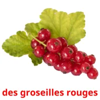 des groseilles rouges Tarjetas didacticas