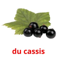 du cassis Tarjetas didacticas