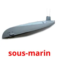 sous-marin cartes flash