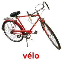 vélo picture flashcards