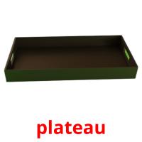 plateau picture flashcards