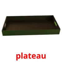 plateau Tarjetas didacticas