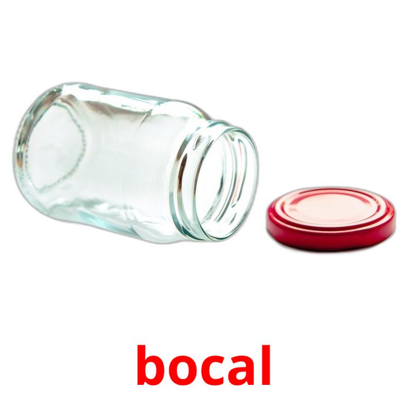 bocal picture flashcards