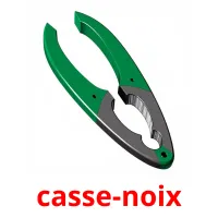 casse-noix cartes flash