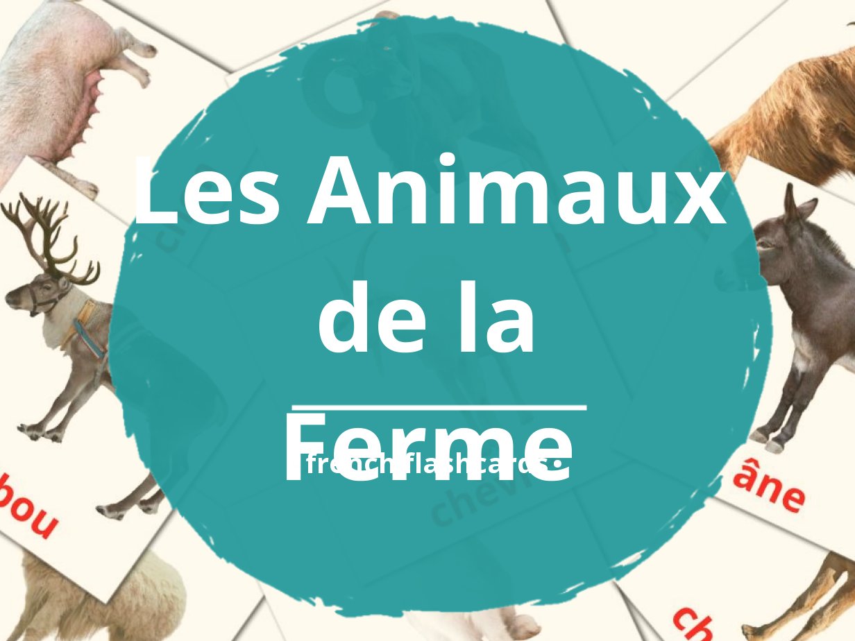 Animaux  French bee