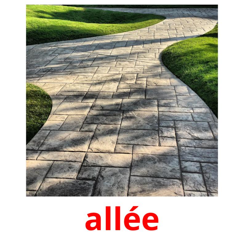 allée picture flashcards