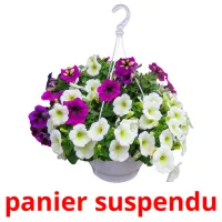 panier suspendu cartes flash