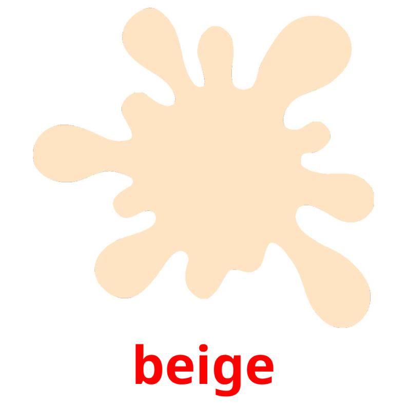 beige picture flashcards