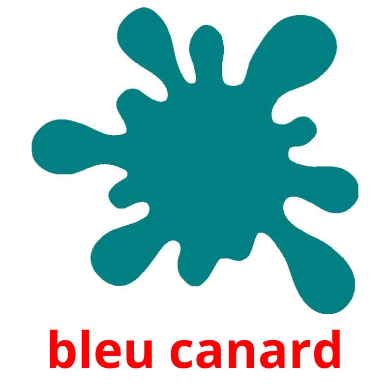 bleu canard picture flashcards