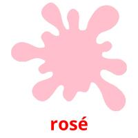 rosé Bildkarteikarten