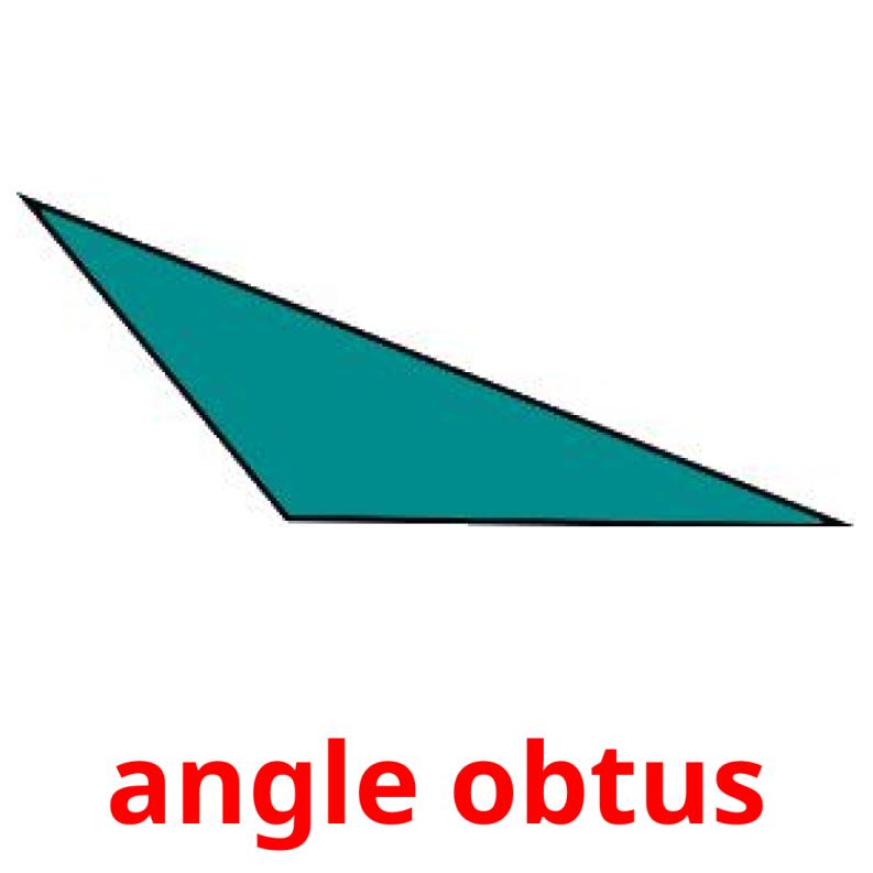 angle obtus picture flashcards