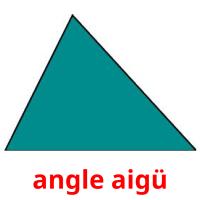 angle aigü picture flashcards