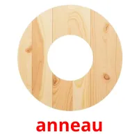 anneau flashcards illustrate