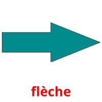 flèche card for translate