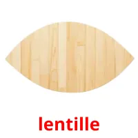 lentille flashcards illustrate